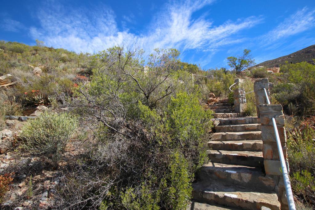 Montagu Little Sanctuary - Hot Spring Access At Reduced Price Lejlighed Eksteriør billede