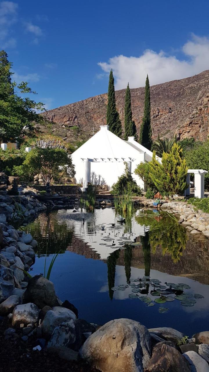 Montagu Little Sanctuary - Hot Spring Access At Reduced Price Lejlighed Eksteriør billede