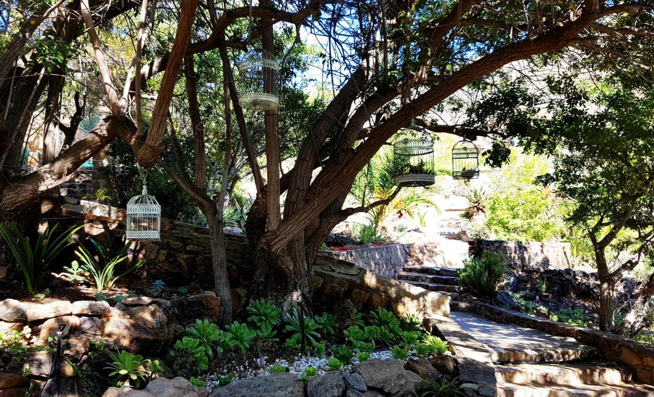 Montagu Little Sanctuary - Hot Spring Access At Reduced Price Lejlighed Eksteriør billede