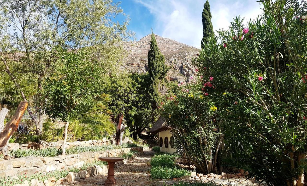 Montagu Little Sanctuary - Hot Spring Access At Reduced Price Lejlighed Eksteriør billede