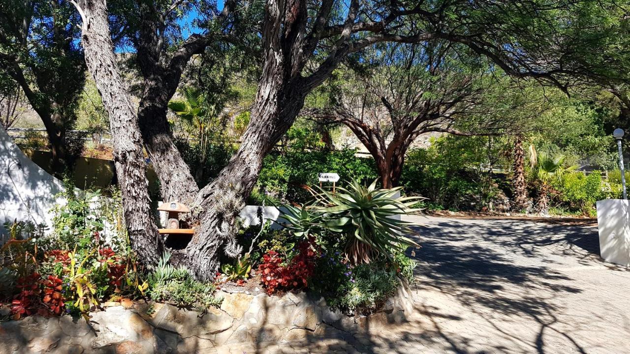 Montagu Little Sanctuary - Hot Spring Access At Reduced Price Lejlighed Eksteriør billede