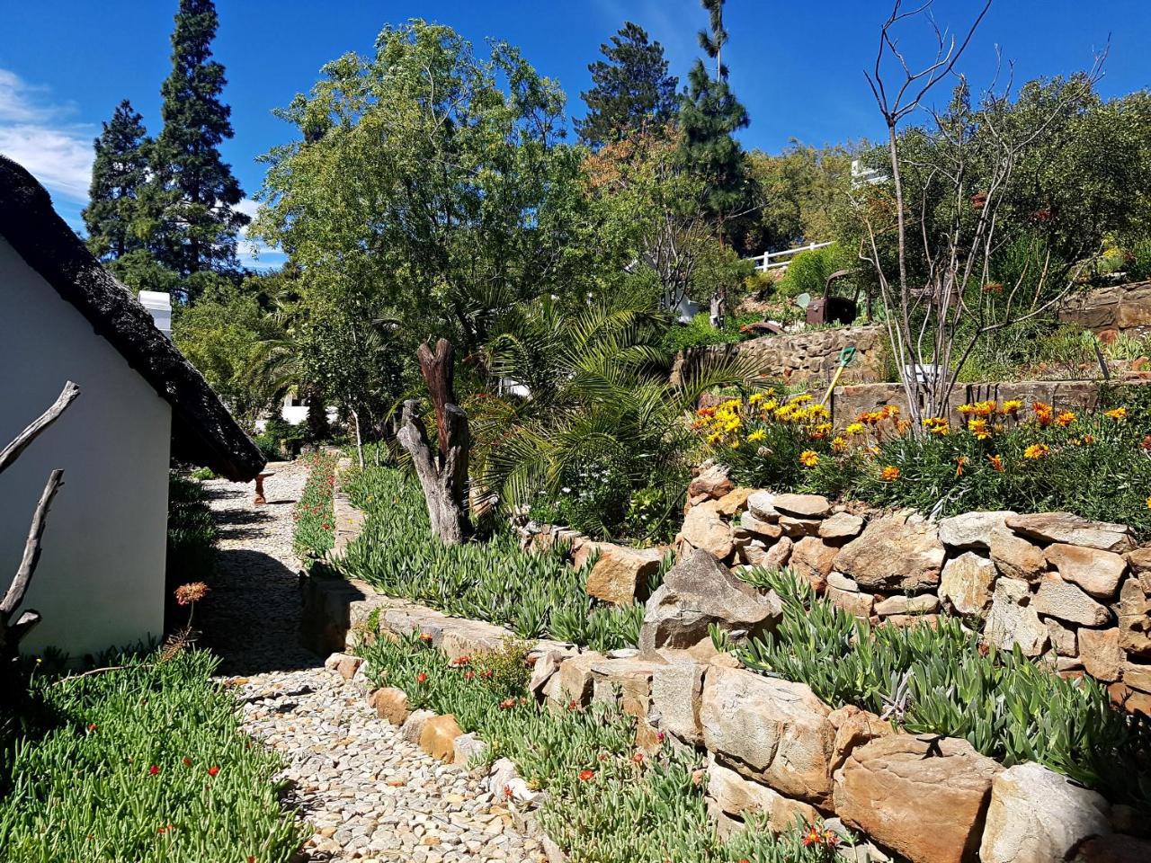 Montagu Little Sanctuary - Hot Spring Access At Reduced Price Lejlighed Eksteriør billede