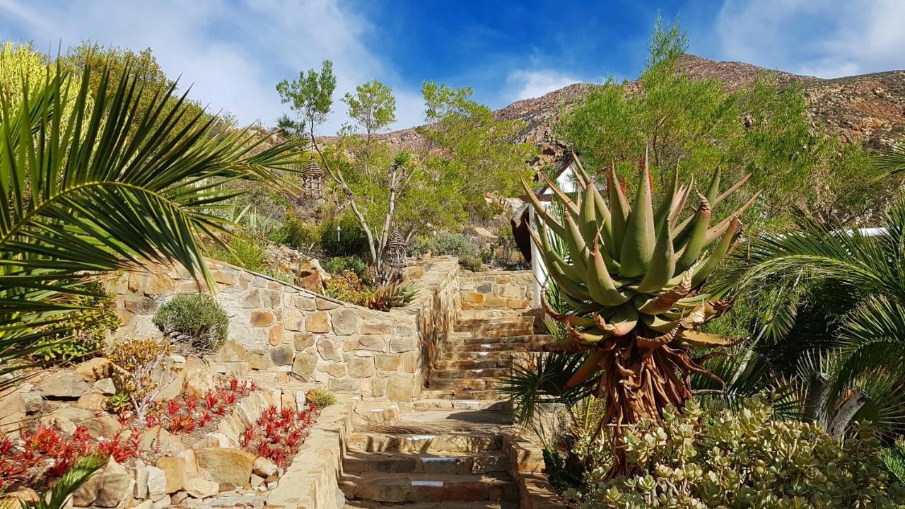 Montagu Little Sanctuary - Hot Spring Access At Reduced Price Lejlighed Eksteriør billede
