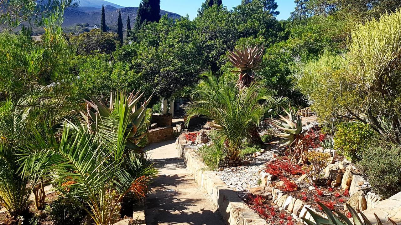 Montagu Little Sanctuary - Hot Spring Access At Reduced Price Lejlighed Eksteriør billede