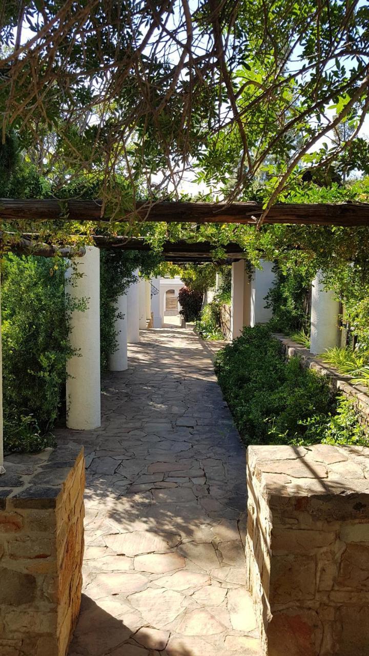 Montagu Little Sanctuary - Hot Spring Access At Reduced Price Lejlighed Eksteriør billede