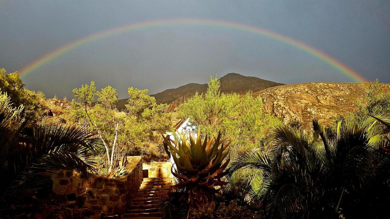 Montagu Little Sanctuary - Hot Spring Access At Reduced Price Lejlighed Eksteriør billede
